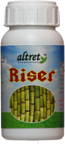 Altret Riser